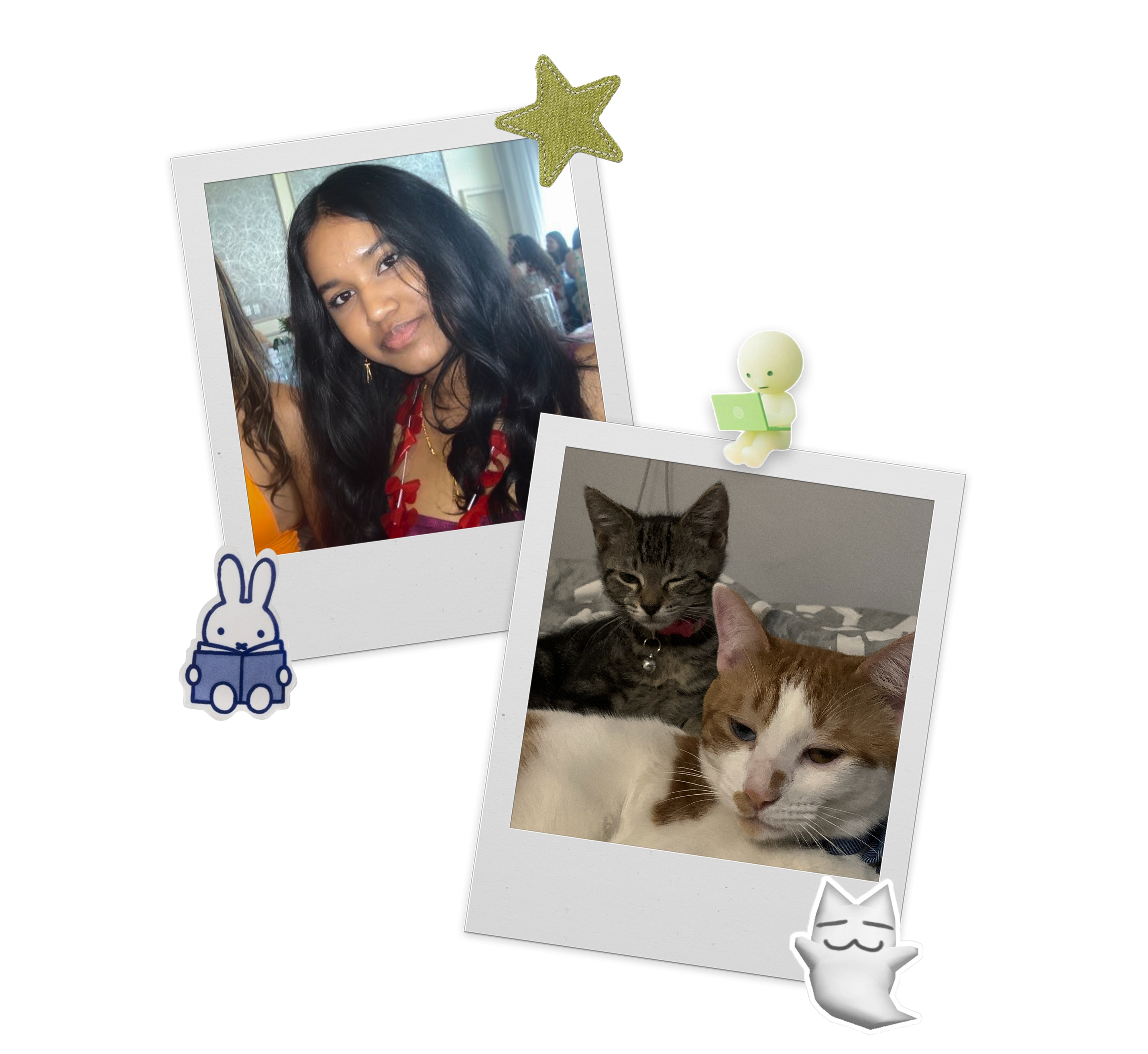 Photos of me and my cats